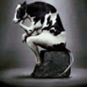 Meet your Posher, Saddleup